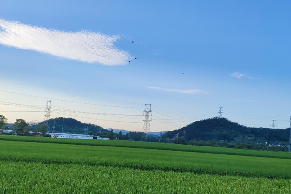 华蓥市“四良”融合全力抓实春耕备耕