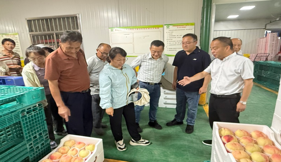 “地理标志 亚夫科技服务”武进洛阳工作站举办优质果品生产技术培训和观摩活动
